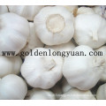 Good New Crop White Garlic From Jinxiang